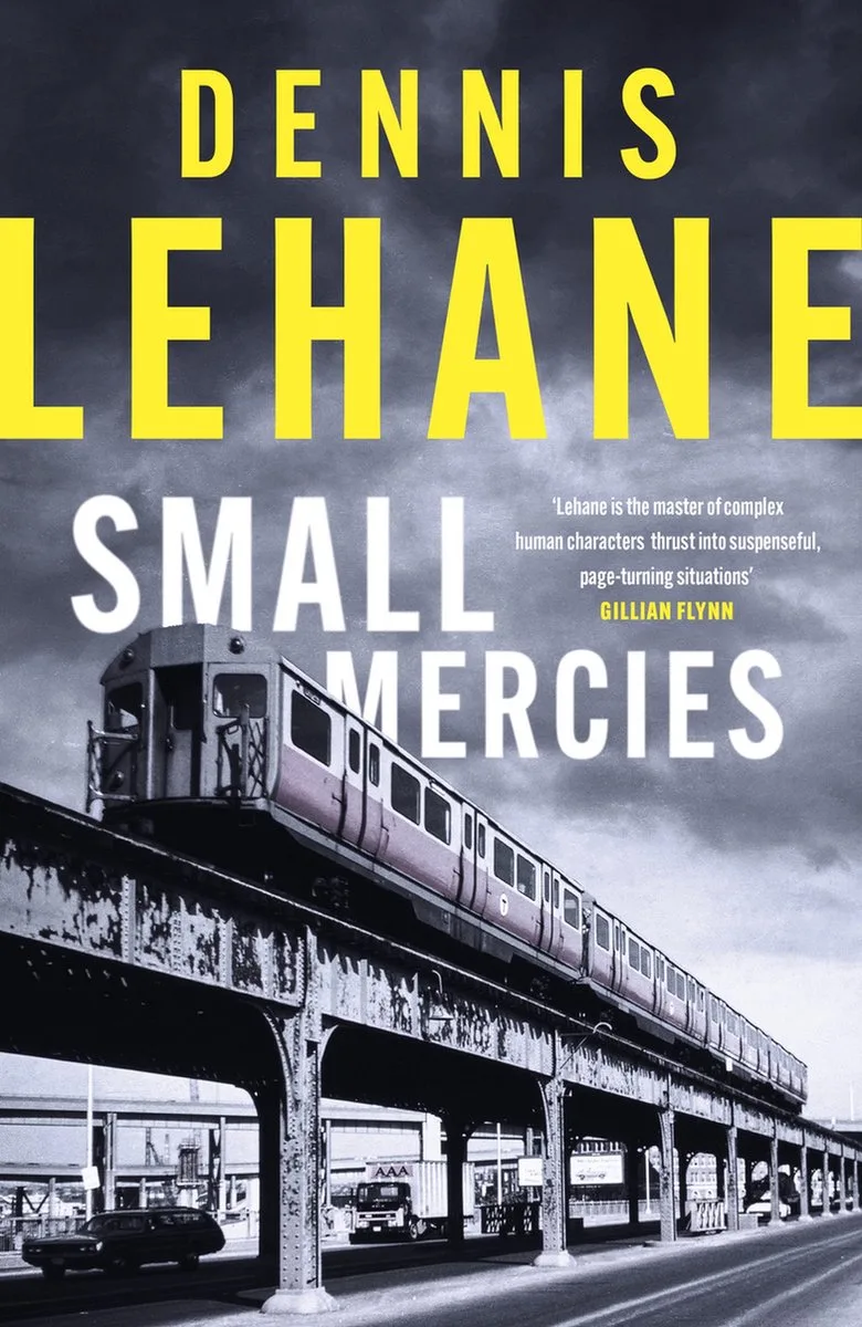 Small Mercies by Abacus – book photo