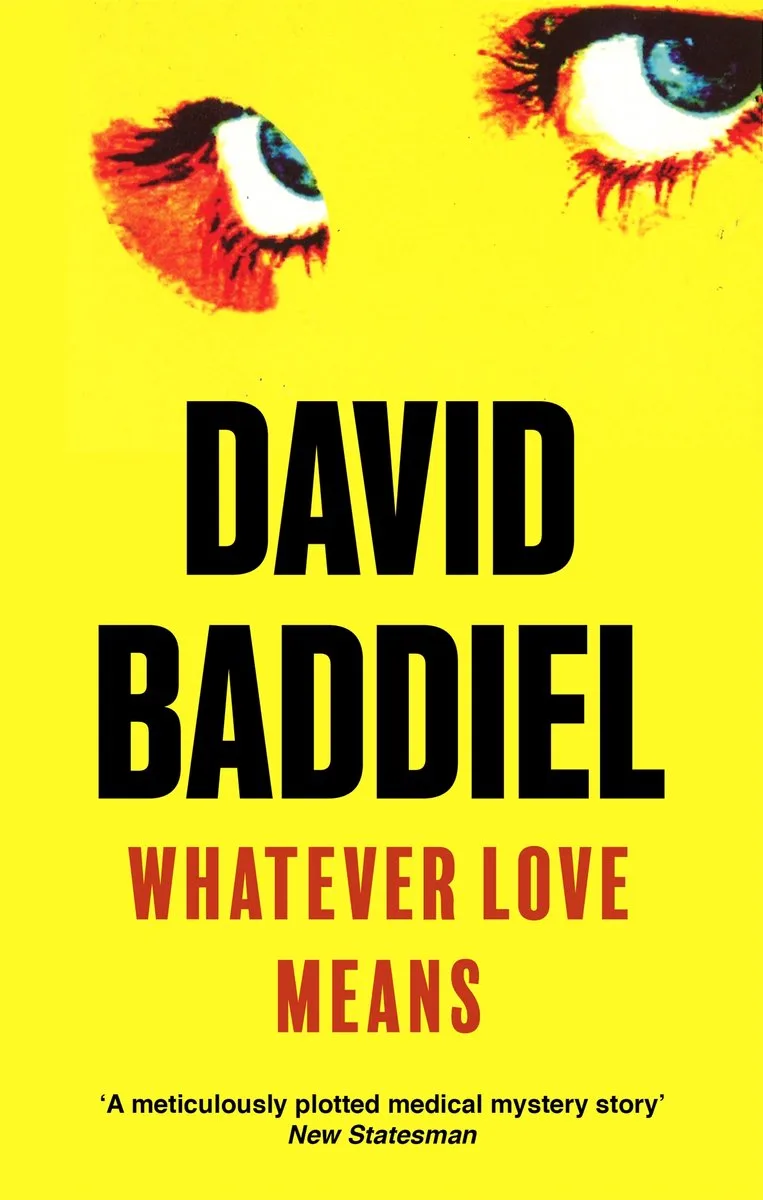 Whatever Love Means by Abacus – book photo