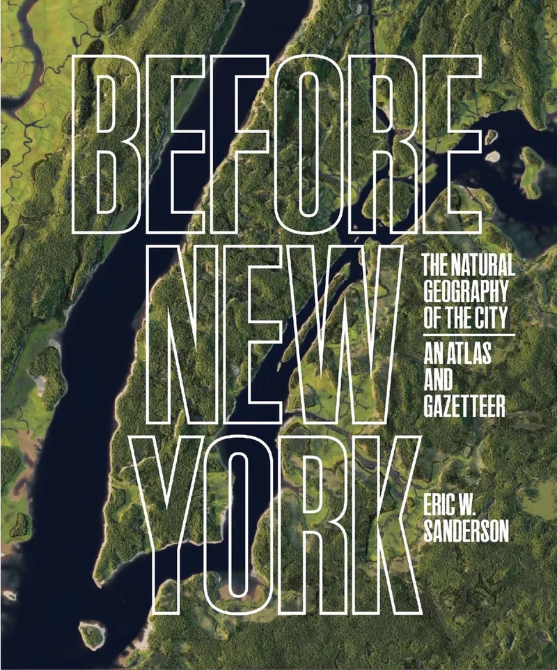 Before New York de Abrams – photo du livre
