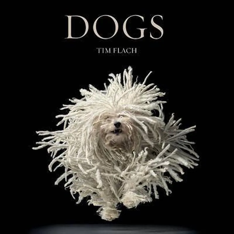 Dogs de Abrams – photo du livre