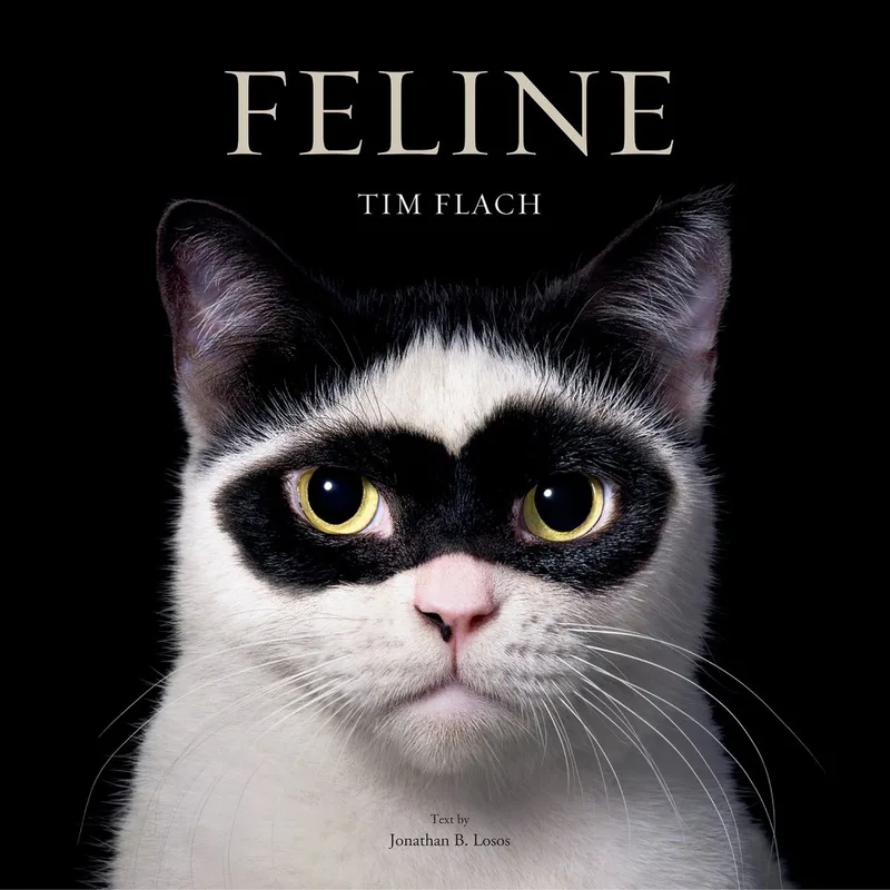 Feline von Abrams – Buchfoto