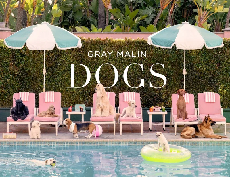 Gray Malin: Dogs de Abrams – photo du livre