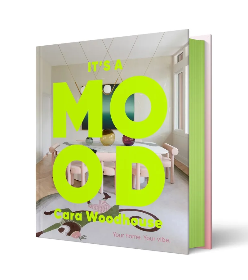 It's a Mood de Abrams – photo du livre