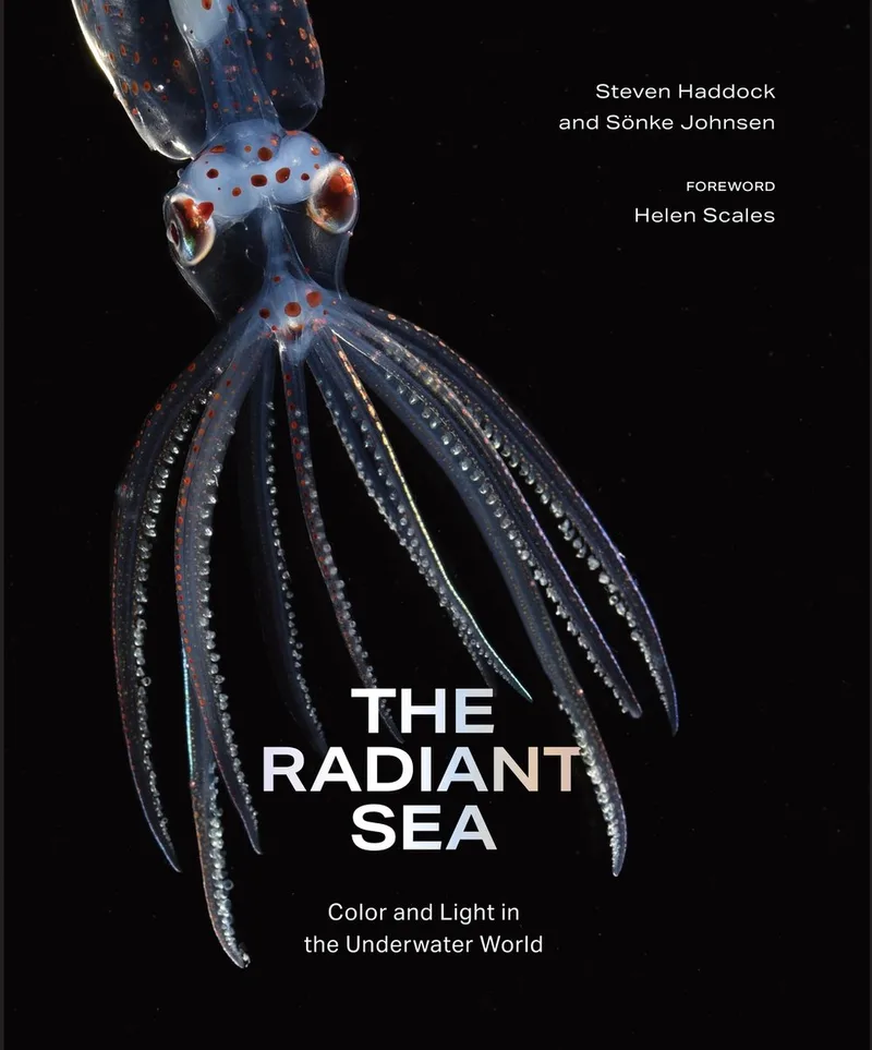 The Radiant Sea von Abrams – Buchfoto