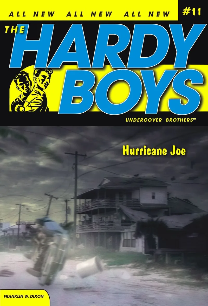 Hurricane Joe von Aladdin – Buchfoto