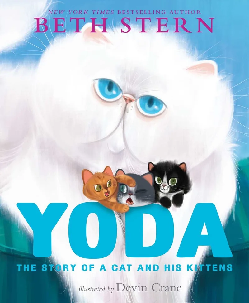 Yoda von Aladdin – Buchfoto