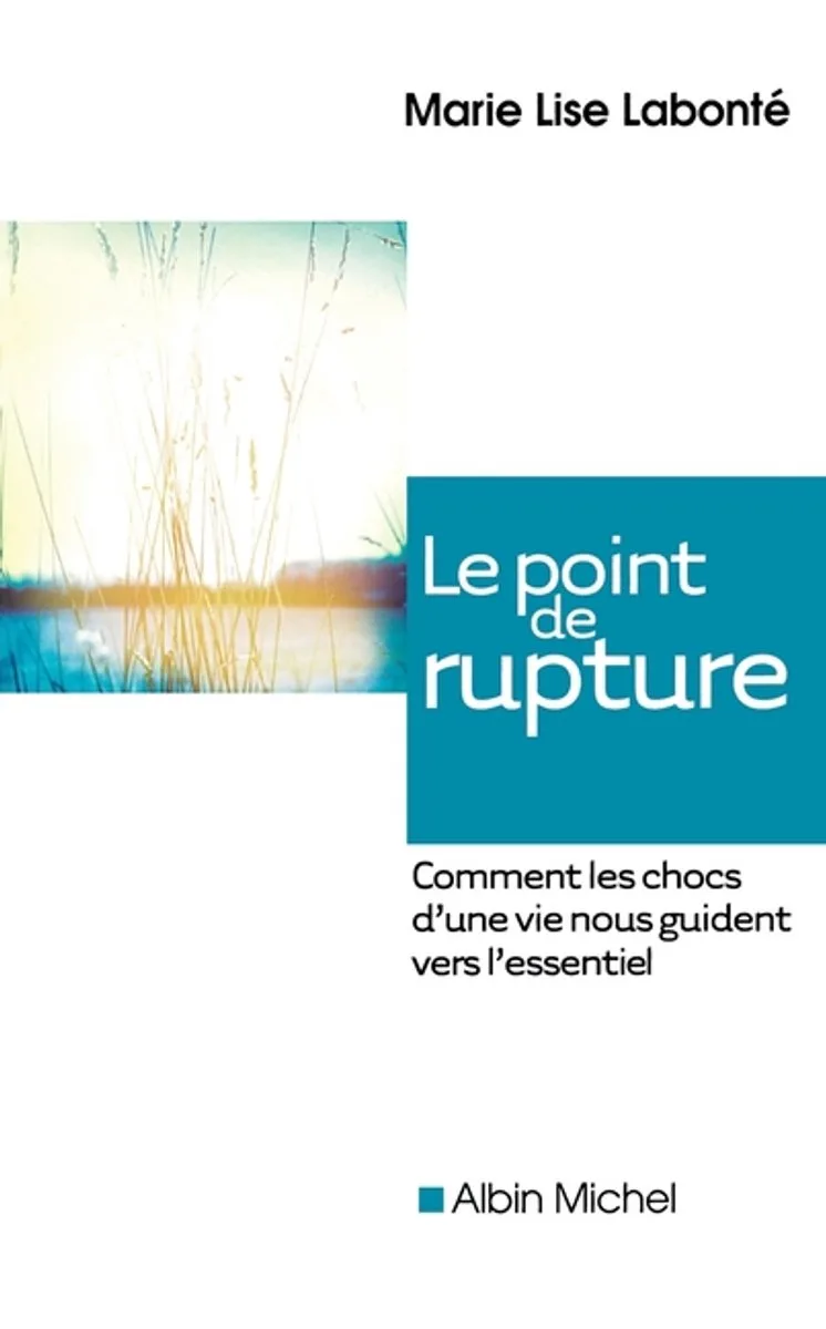 Le Point de rupture fra Albin Michel – billede af bogen