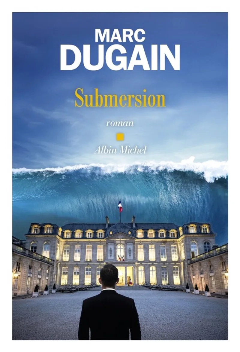Submersion fra Albin Michel – billede af bogen