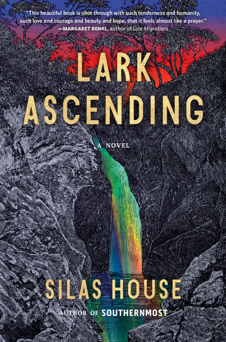 Lark Ascending von Algonquin Books – Buchfoto