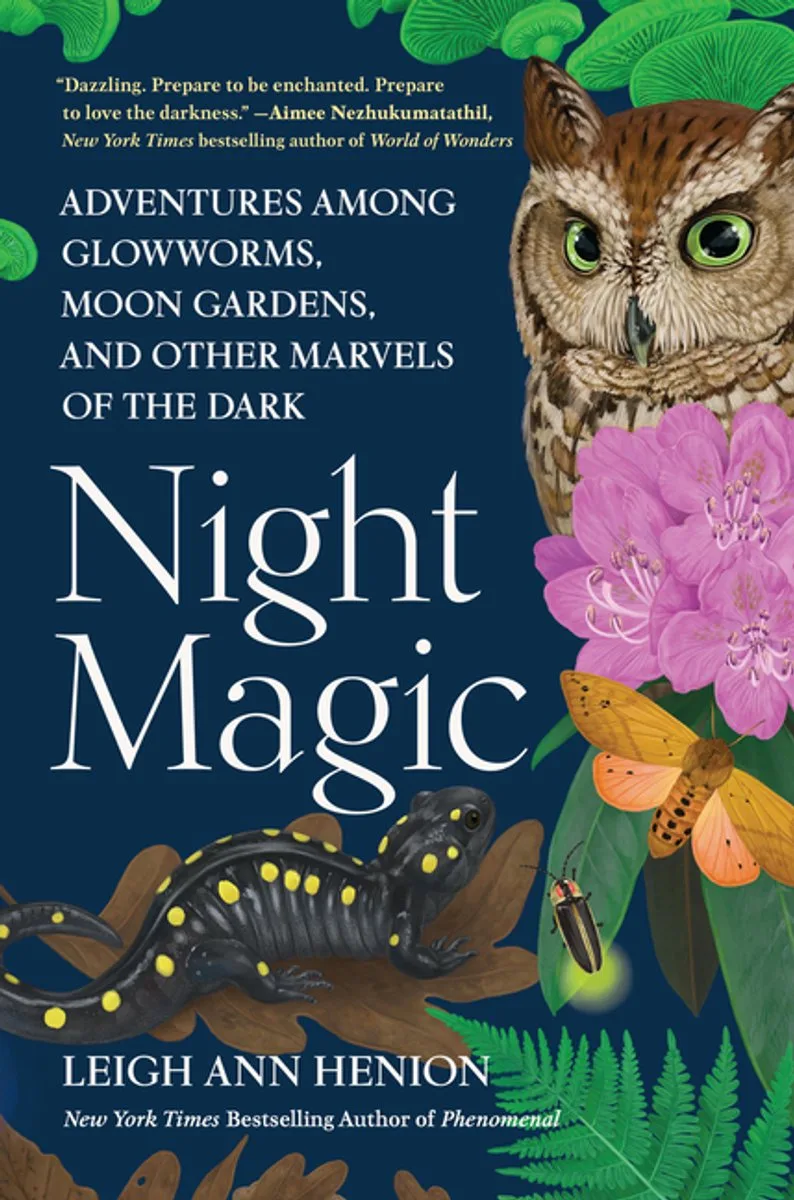 Night Magic von Algonquin Books – Buchfoto