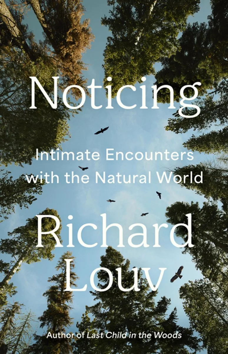 Noticing von Algonquin Books – Buchfoto