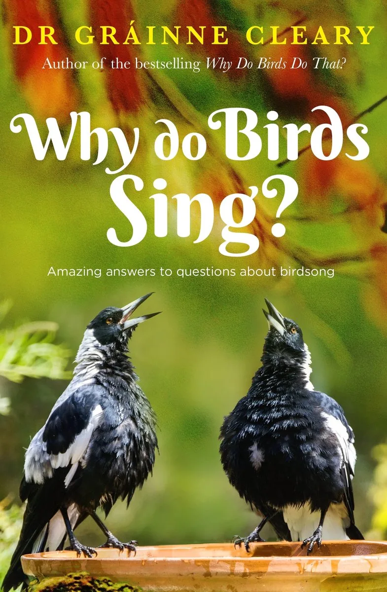 Why Do Birds Sing? von Allen & Unwin – Buchfoto