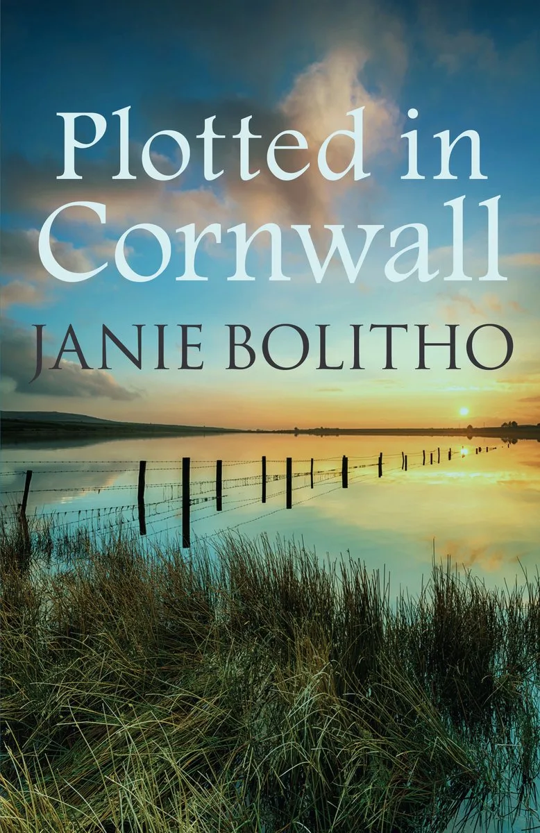 Plotted In Cornwall von Allison & Busby – Buchfoto