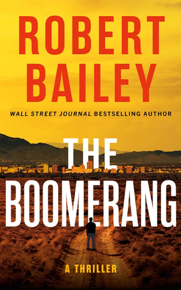 The Boomerang von Amazon Publishing – Buchfoto