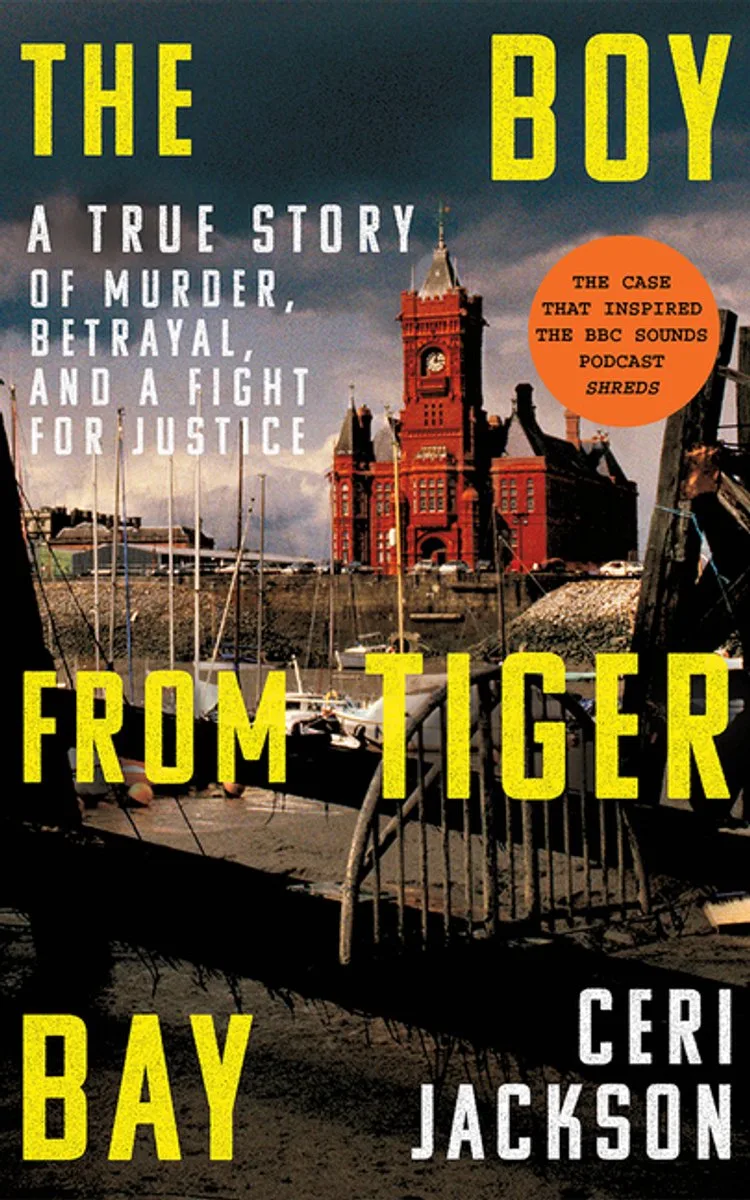 The Boy From Tiger Bay von Amazon Publishing – Buchfoto