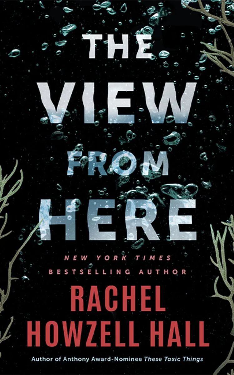 The View From Here från Amazon Publishing – bokbild