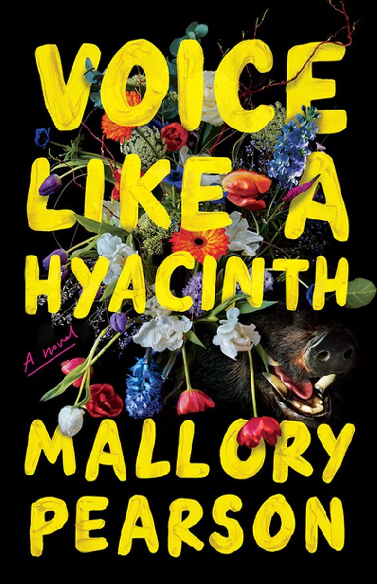Voice Like A Hyacinth von Amazon Publishing – Buchfoto