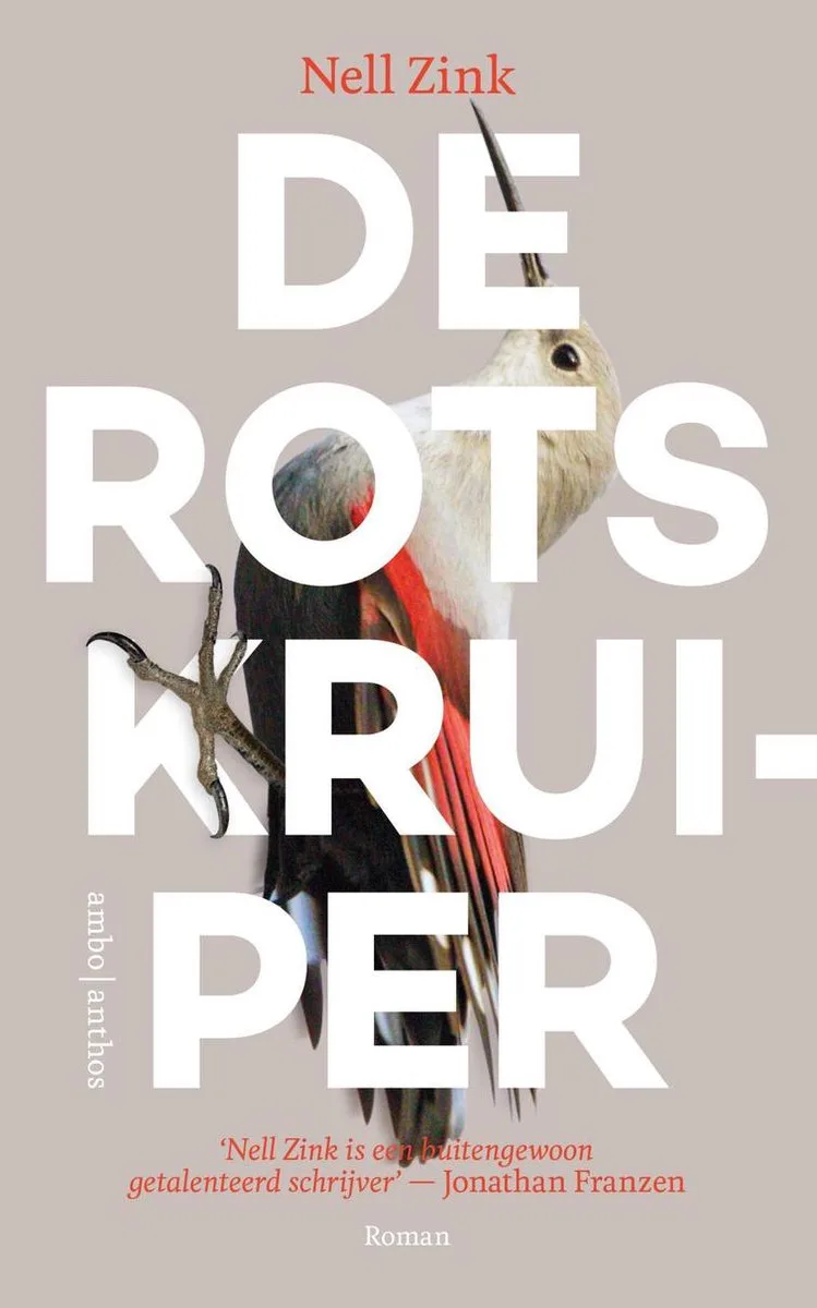 De rotskruiper by Ambo | Anthos – book photo