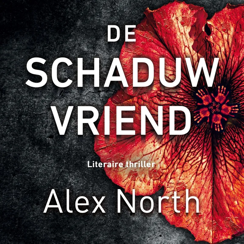 De schaduwvriend fra Ambo | Anthos – billede af bogen