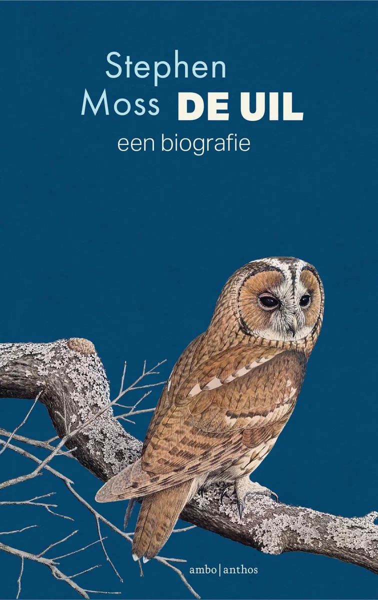 De uil van Ambo | Anthos – boekfoto