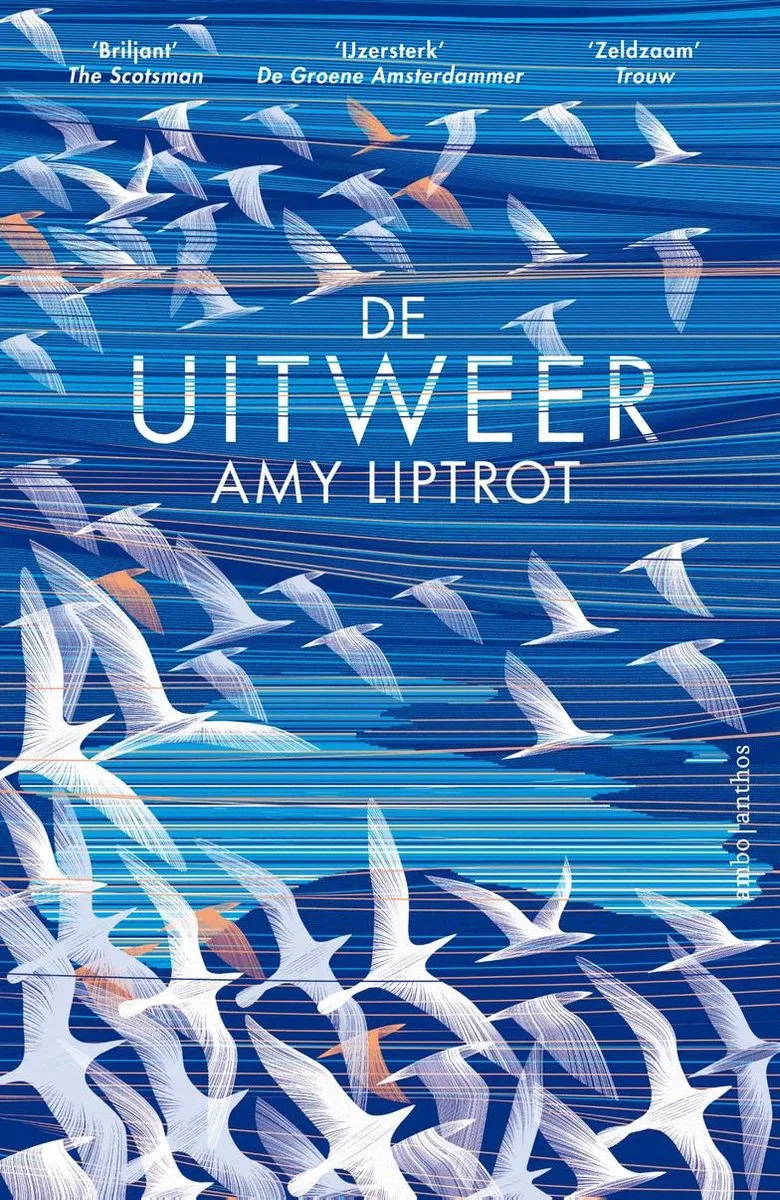 De uitweer von Ambo | Anthos – Buchfoto