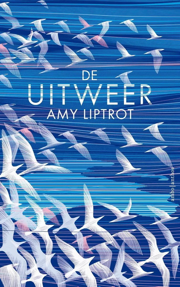 De uitweer van Ambo | Anthos – boekfoto