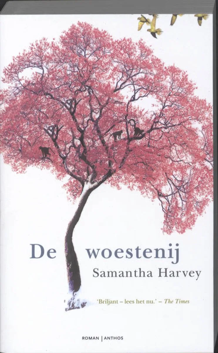 De woestenij von Ambo | Anthos – Buchfoto