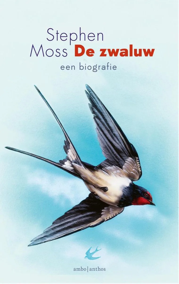 De zwaluw von Ambo | Anthos – Buchfoto