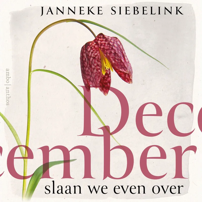 December slaan we even over von Ambo | Anthos – Buchfoto