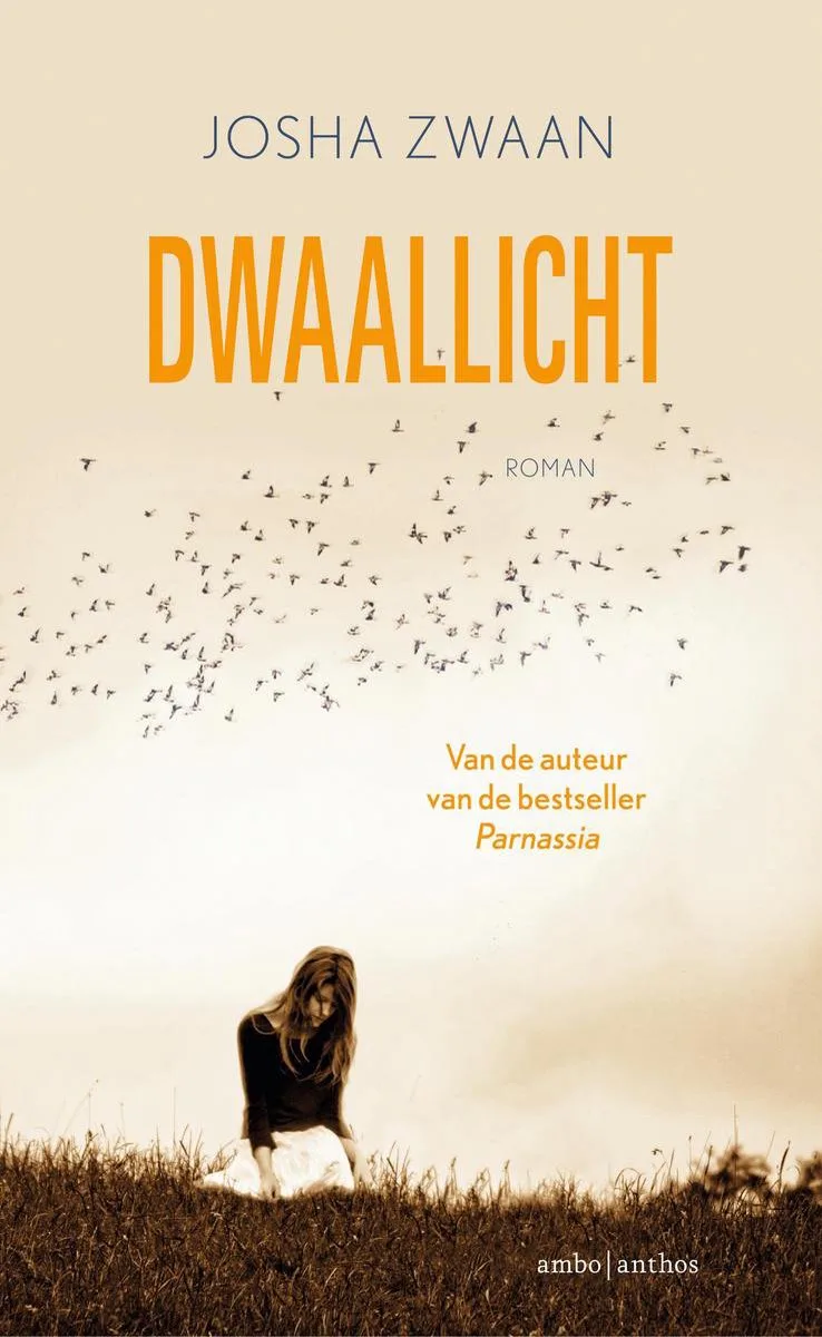 Dwaallicht by Ambo | Anthos – book photo