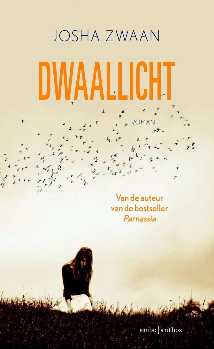 Dwaallicht fra Ambo | Anthos – billede af bogen