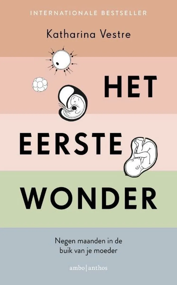 Het eerste wonder von Ambo | Anthos – Buchfoto