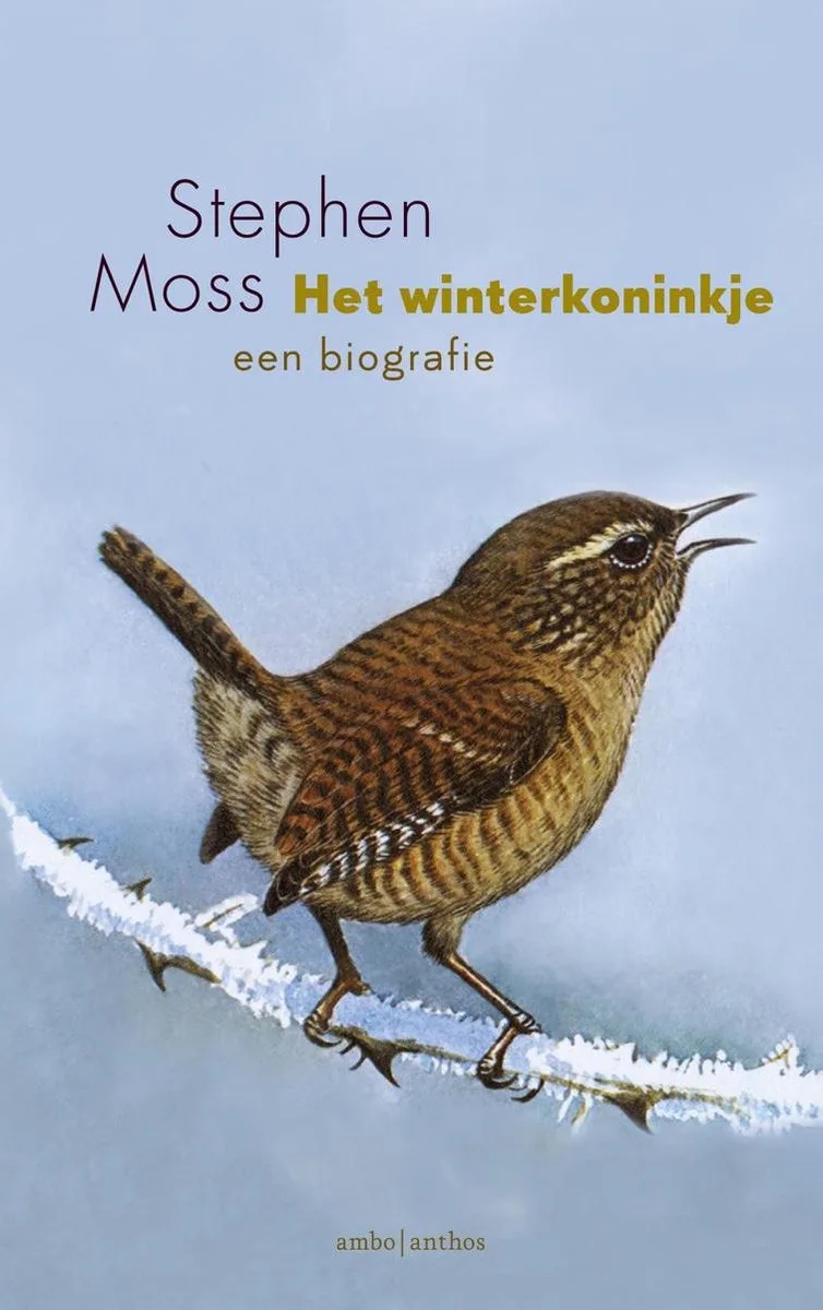 Het winterkoninkje von Ambo | Anthos – Buchfoto