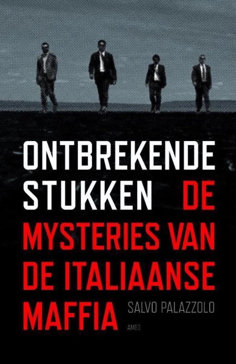 Ontbrekende stukken von Ambo | Anthos – Buchfoto