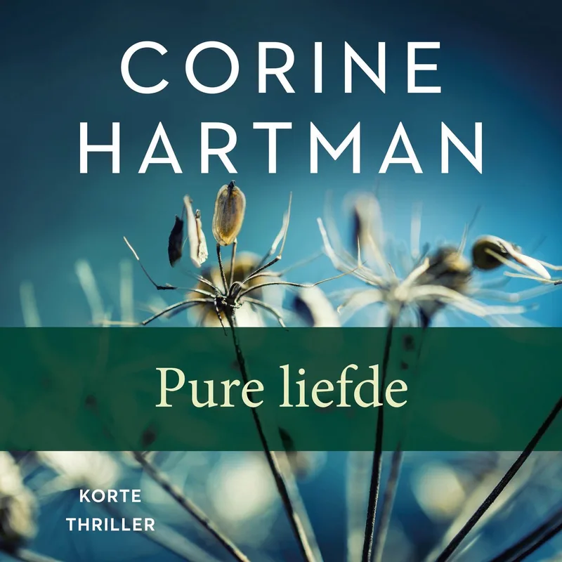 Pure liefde von Ambo | Anthos – Buchfoto