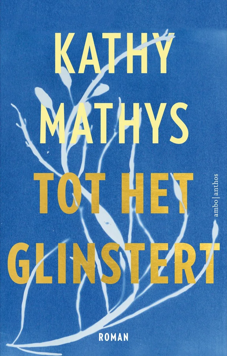 Tot het glinstert fra Ambo | Anthos – billede af bogen