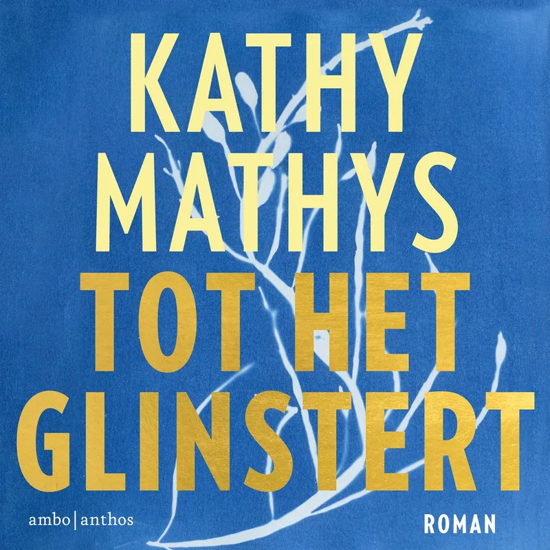 Tot het glinstert von Ambo | Anthos – Buchfoto