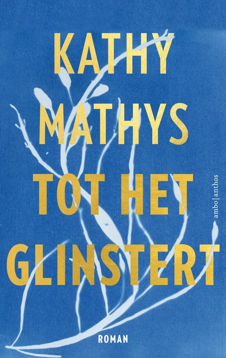 Tot het glinstert von Ambo | Anthos – Buchfoto