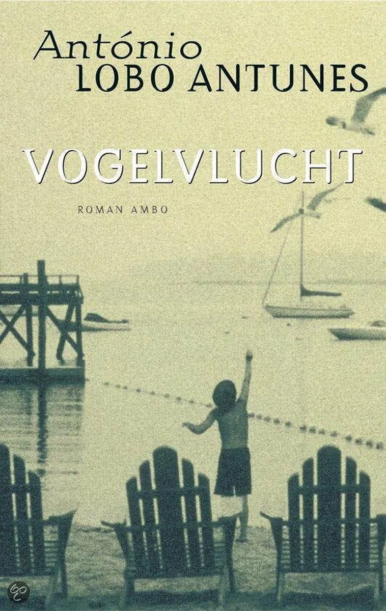 Vogelvlucht fra Ambo | Anthos – billede af bogen