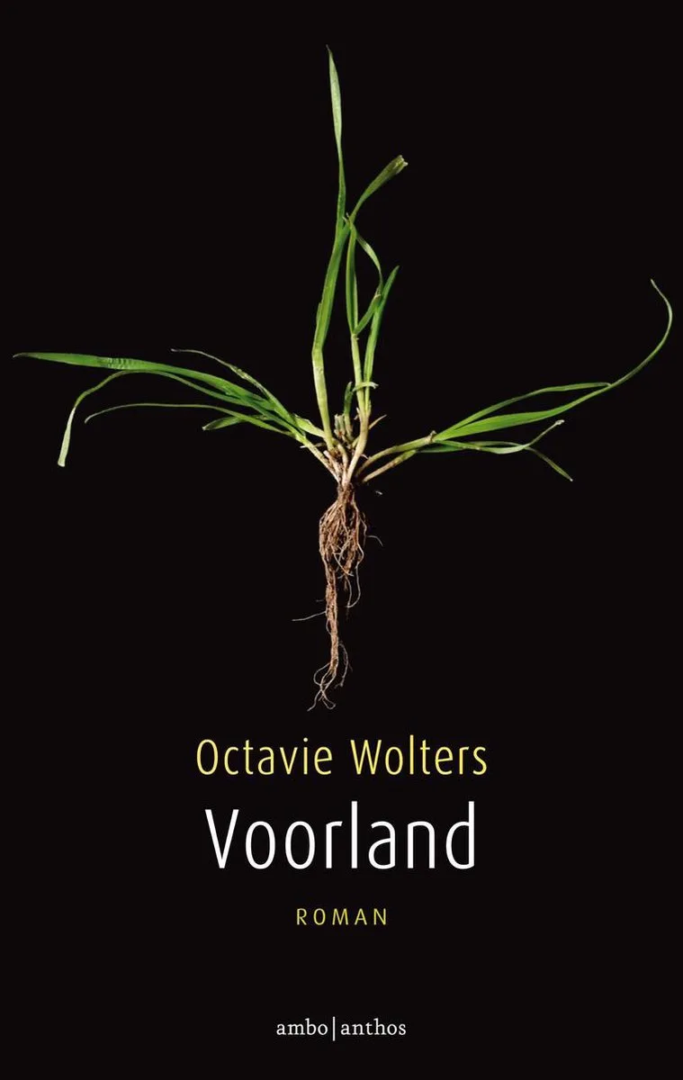Voorland von Ambo | Anthos – Buchfoto