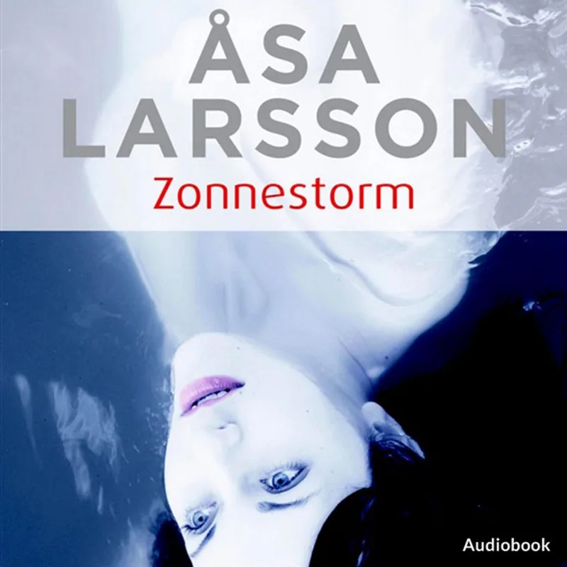Zonnestorm von Ambo | Anthos – Buchfoto