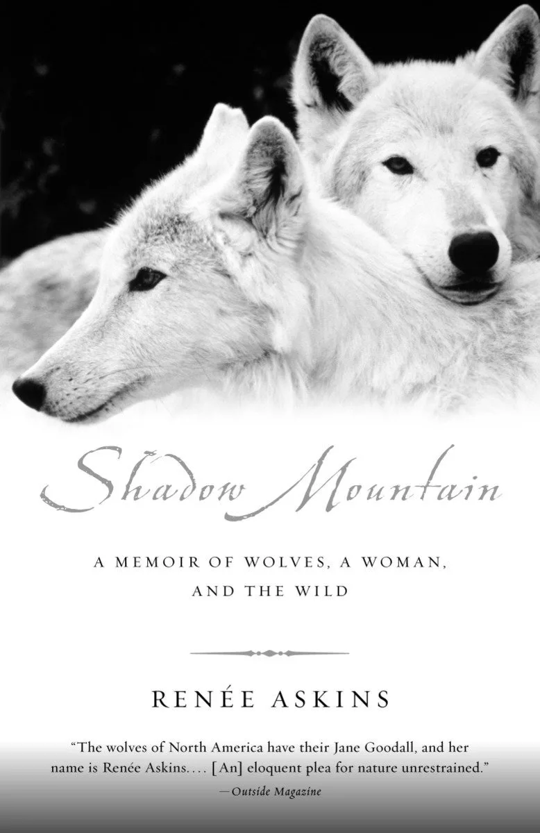 Shadow Mountain von Anchor Books – Buchfoto