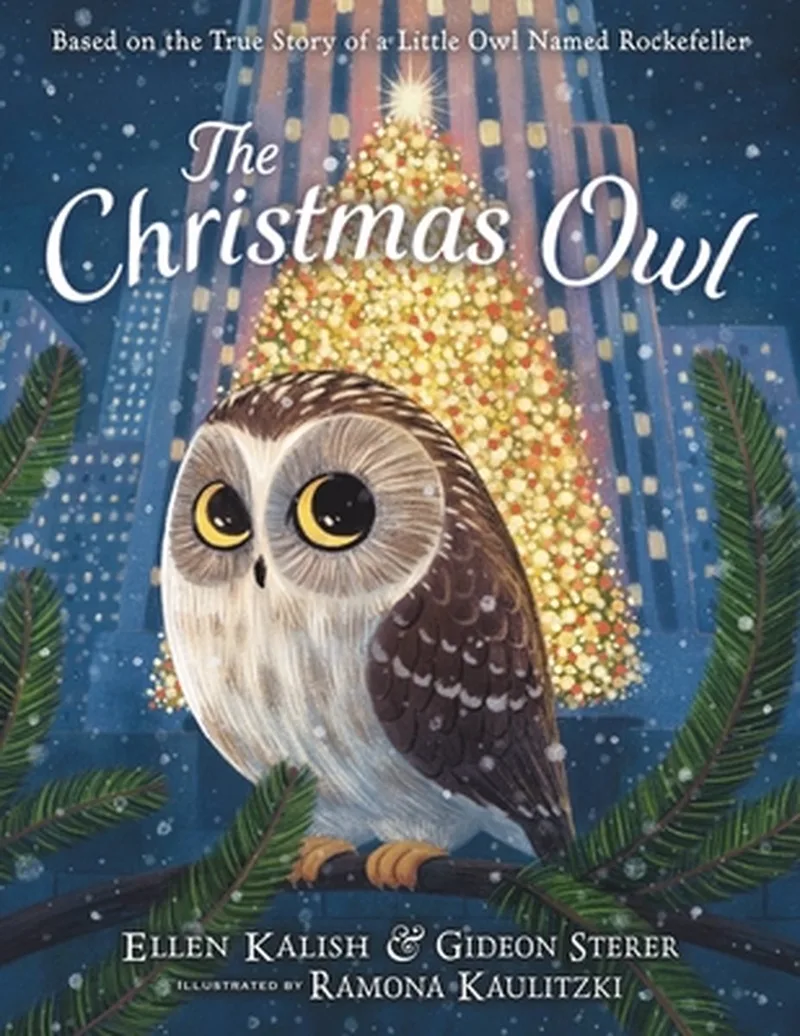 The Christmas Owl van Andersen Press – boekfoto