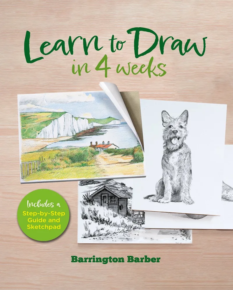 Learn to Draw in 4 Weeks von Arcturus – Buchfoto
