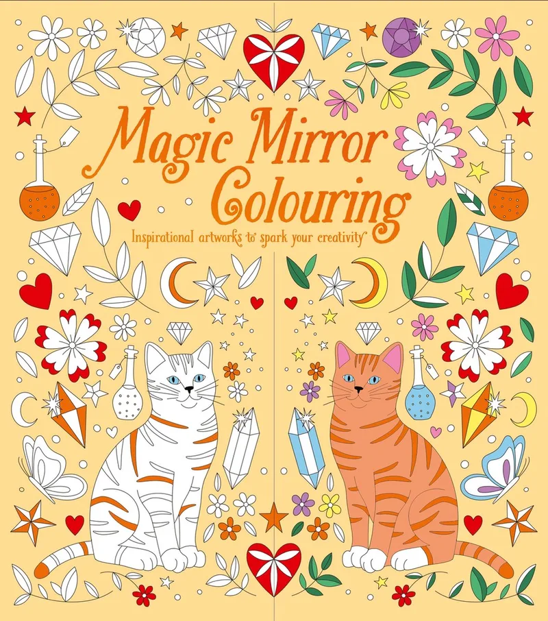 Magic Mirror Colouring de Arcturus – photo du livre