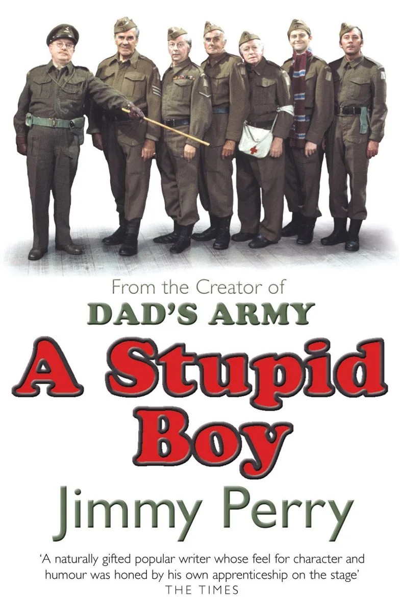 A Stupid Boy von Arrow Books – Buchfoto