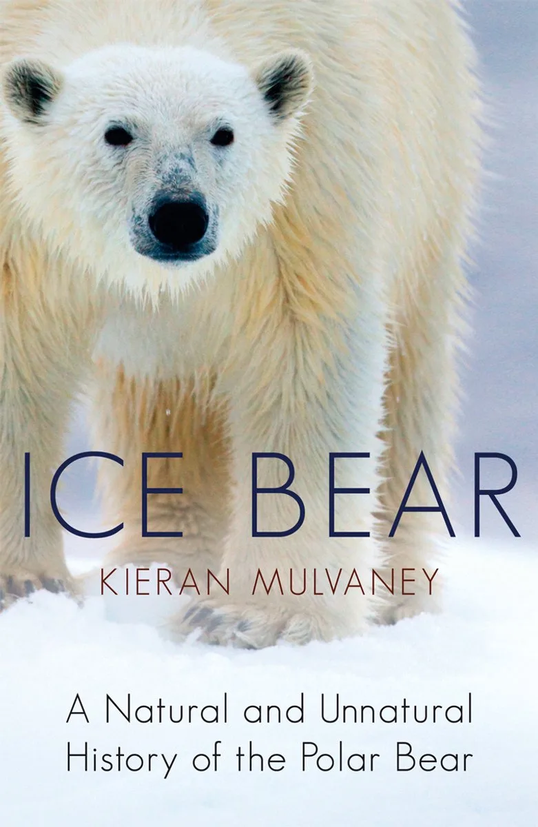 Ice Bear von Arrow Books – Buchfoto