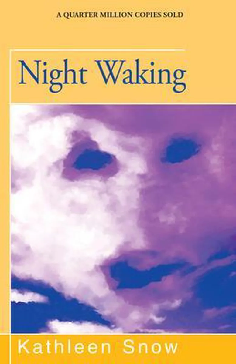 Night Waking von Arrow Books – Buchfoto