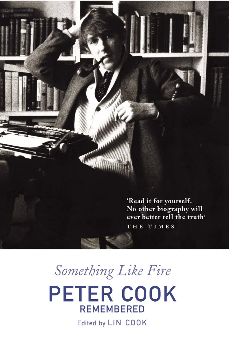 Something Like Fire fra Arrow Books – billede af bogen