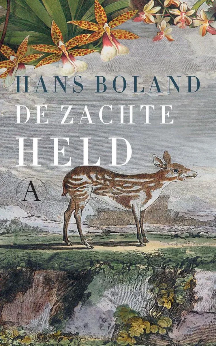 De zachte held von Athenaeum – Buchfoto